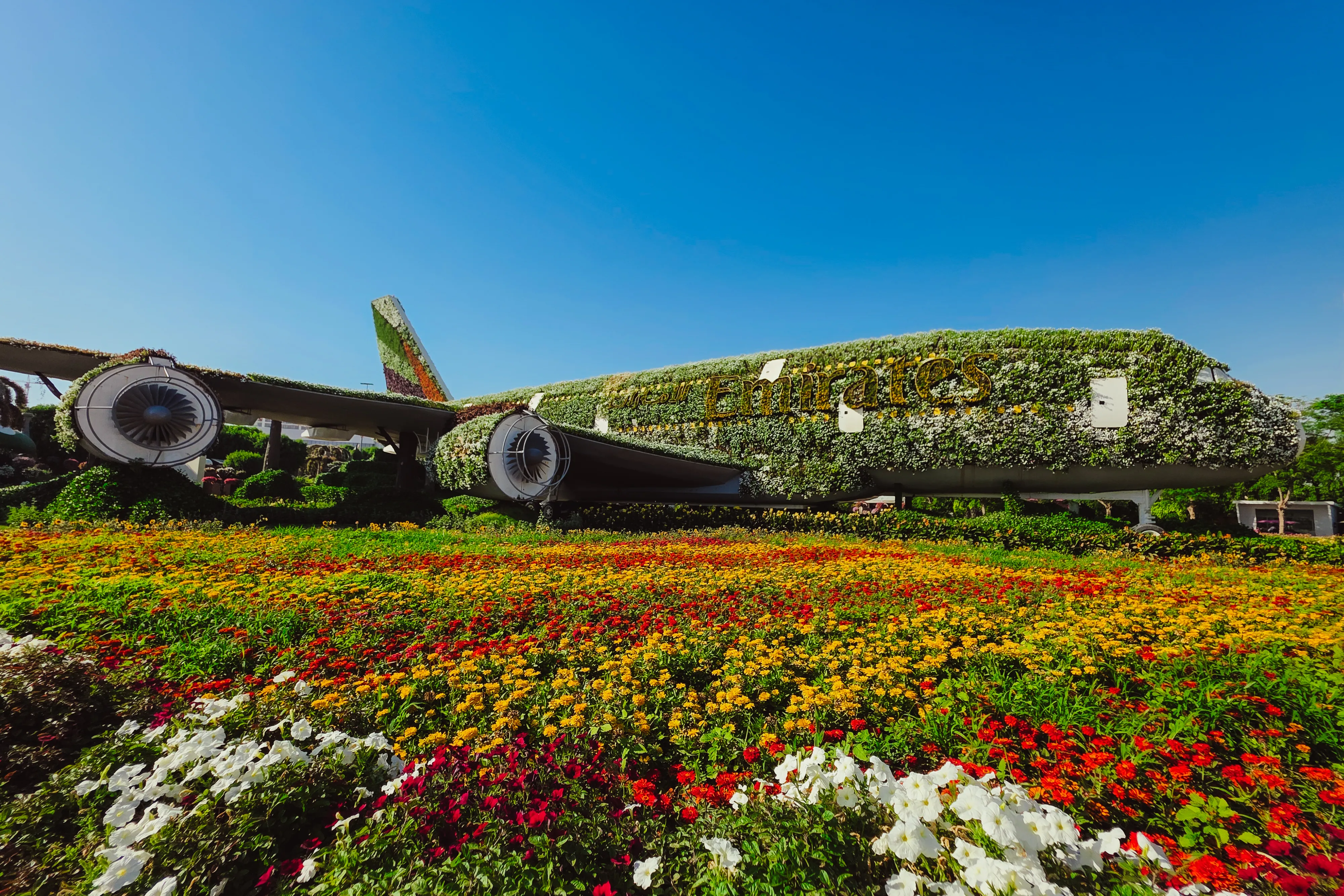 Dubai Miracle Garden virágkompozíciói